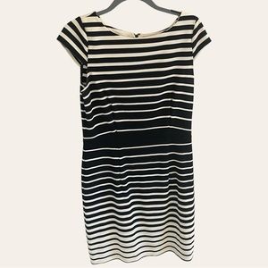 Loft Ivory dress with Black stripes- size 8